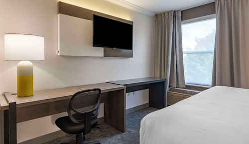 Suite, 1 King Bed with Sofa bed, Accessible, Non Smoking