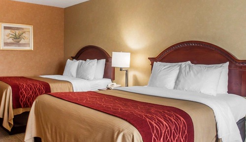 Standard Room, 2 Queen Beds, Non Smoking