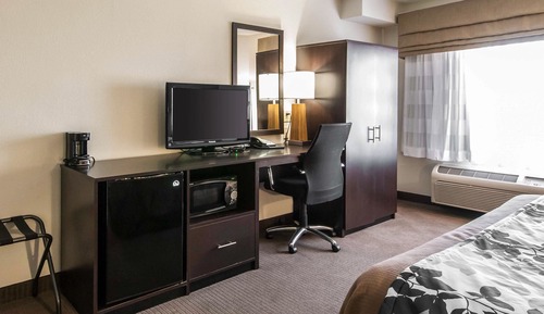 Standard Room, 1 King Bed, Smoking