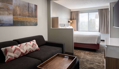 Room, 1 King Bed with Sofa bed, Accessible (Mobility Tub)