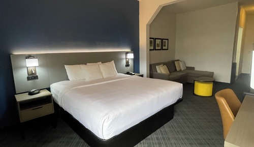 Room, 1 King Bed with Sofa bed, Accessible, Non Smoking (Efficiency, Upgrade)