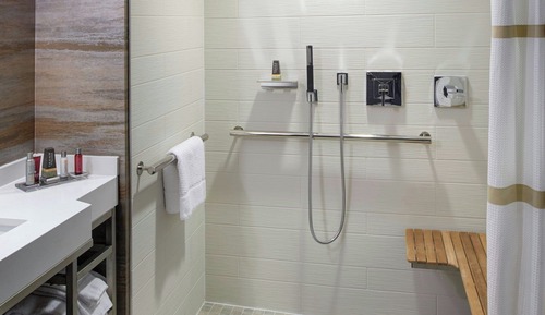 Room, 1 King Bed with Sofa bed (Mobility Accessible, Roll-In Shower)