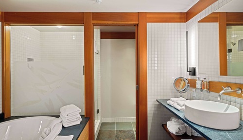 Room, 1 King Bed (Nicer)