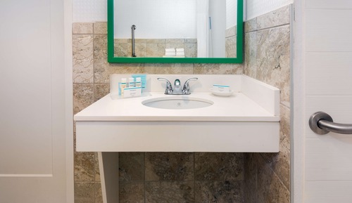 Standard Room, 1 King Bed, Accessible, Roll-In Shower, Non Smoking