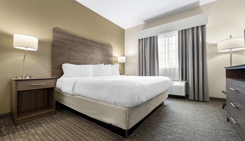 Suite, 1 King Bed, Non Smoking, Refrigerator & Microwave (with Sofabed)
