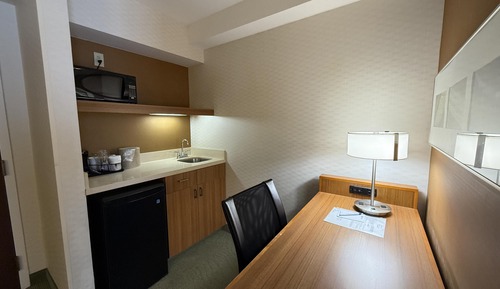 Standard Room, 1 King Bed, Accessible, Refrigerator & Microwave (with Sofabed)