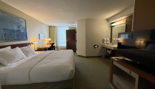 Standard Room, 1 King Bed, Non Smoking, Refrigerator & Microwave (with Sofabed)