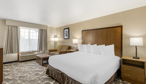 Standard Room, 1 King Bed, Non Smoking, Jetted Tub