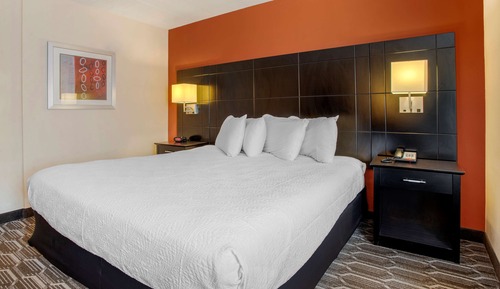 Standard Room, 1 King Bed, Non Smoking, Jetted Tub