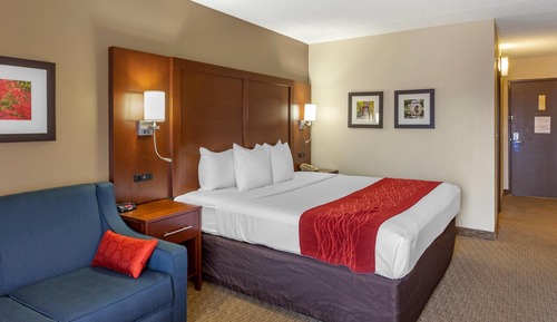 Standard Room, 1 King Bed, Non Smoking