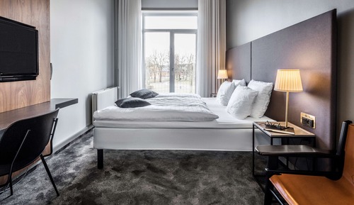 Standard Double Room, 1 King Bed