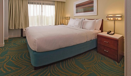 Suite, 1 King Bed with Sofa bed