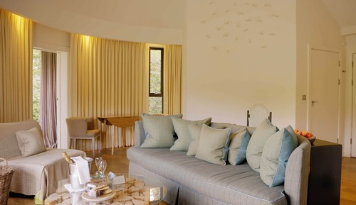 Studio Suite (Treehouse)