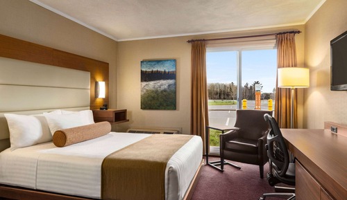 Room, 1 Queen Bed, Accessible, Non Smoking (Mobility/Hearing, Roll-In Shower)