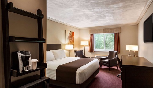 Room, 1 King Bed, Non Smoking