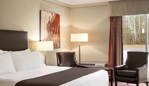 Room, 1 King Bed, Non Smoking (Ground Floor)