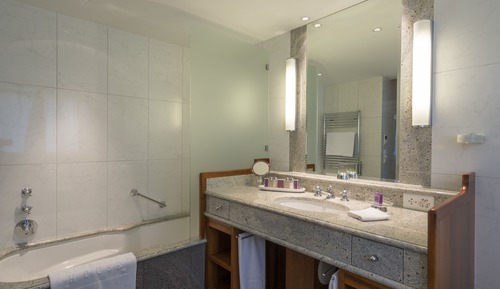 Deluxe Single Room (Lake)