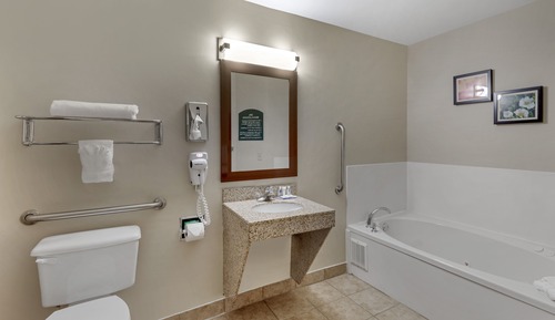 Room, 1 King Bed, Non Smoking, Jetted Tub