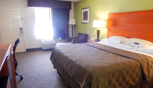 Deluxe Room, 1 King Bed, Non Smoking, Refrigerator & Microwave