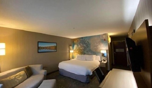 Room, 1 King Bed with Sofa bed