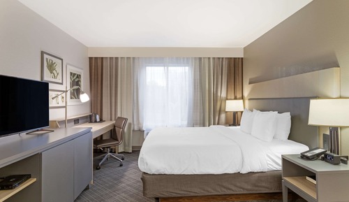 Standard Room, 1 King Bed, Non Smoking