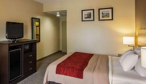 Standard Room, 1 King Bed, Non Smoking