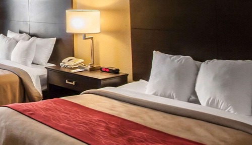 Standard Double Room, 2 Double Beds, Non Smoking