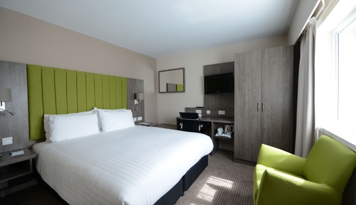 Standard Room, 1 King Bed with Sofa bed