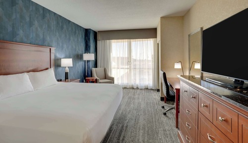 Room, 1 King Bed, Accessible (Roll in Shower)