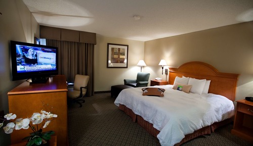 Room, 1 King Bed, Accessible, Non Smoking