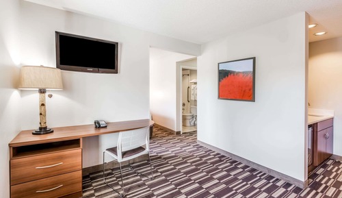 Studio Suite, 1 Queen Bed, Non Smoking