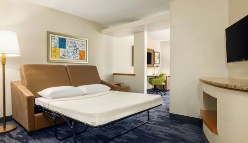 Suite, 1 King Bed with Sofa bed