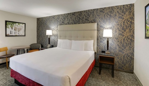 Room, 1 King Bed, Accessible (Roll in Shower)