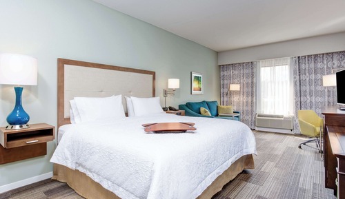 Room, 1 King Bed with Sofa bed, Non Smoking, Refrigerator & Microwave