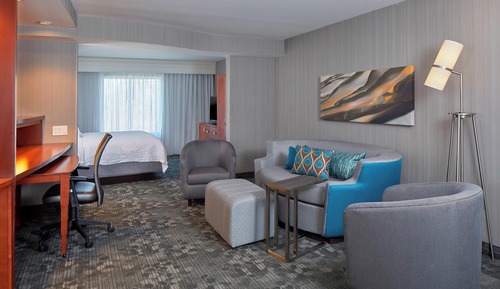 Suite, 1 King Bed with Sofa bed