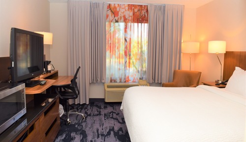 Room, 1 King Bed