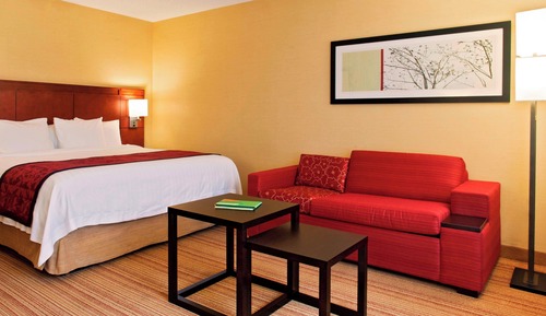 Room, 1 King Bed with Sofa bed