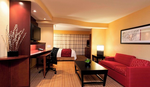 Suite, 1 King Bed with Sofa bed