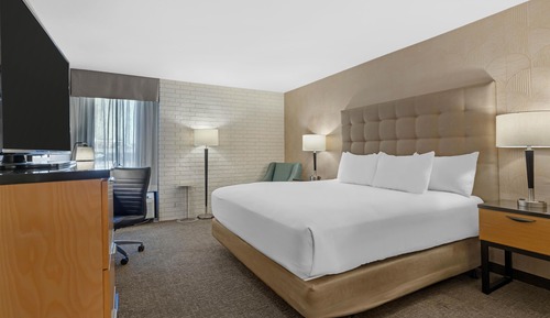 Room, 1 King Bed, Accessible (Tub)