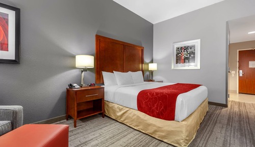 Room, 1 King Bed, Accessible, Non Smoking