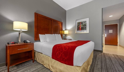 Room, 1 King Bed, Accessible, Non Smoking