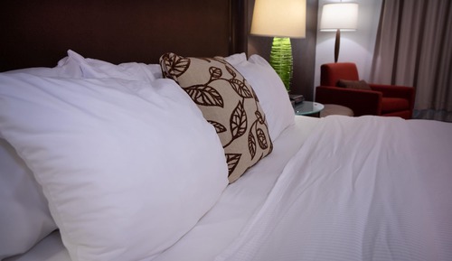 Room, 1 King Bed, Non Smoking