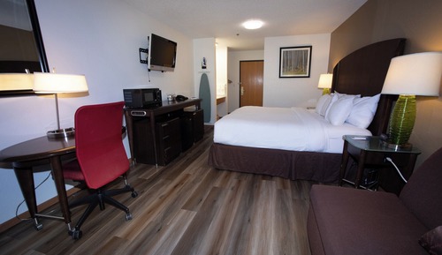 Room, 1 King Bed, Mobility Accessible, Non Smoking (Mobility, Roll-in Shower)