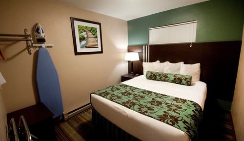 Superior Room, 2 Queen Beds