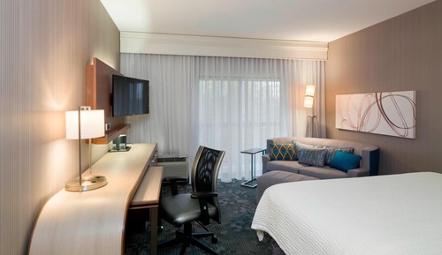 Room, 1 King Bed with Sofa bed
