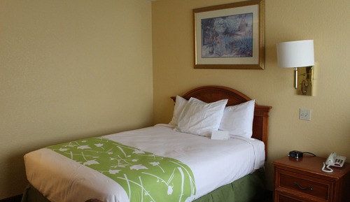 Room, 1 Queen Bed, Accessible