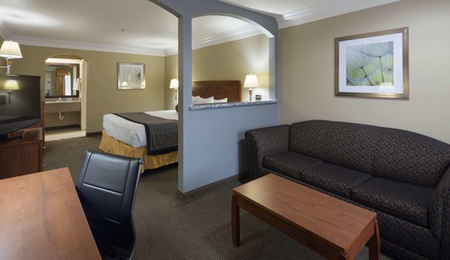 Suite, 1 King Bed, Accessible, Bathtub (with Sofabed)