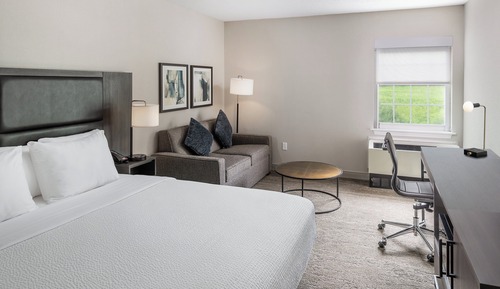 Standard Room, 1 King Bed with Sofa bed, Accessible Bathtub (Mobility Accessible)