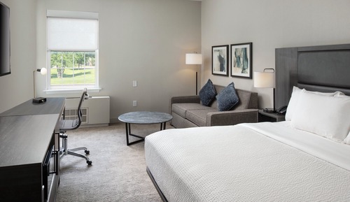 Standard Room, 1 King Bed with Sofa bed