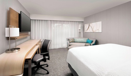 Room, 1 King Bed with Sofa bed